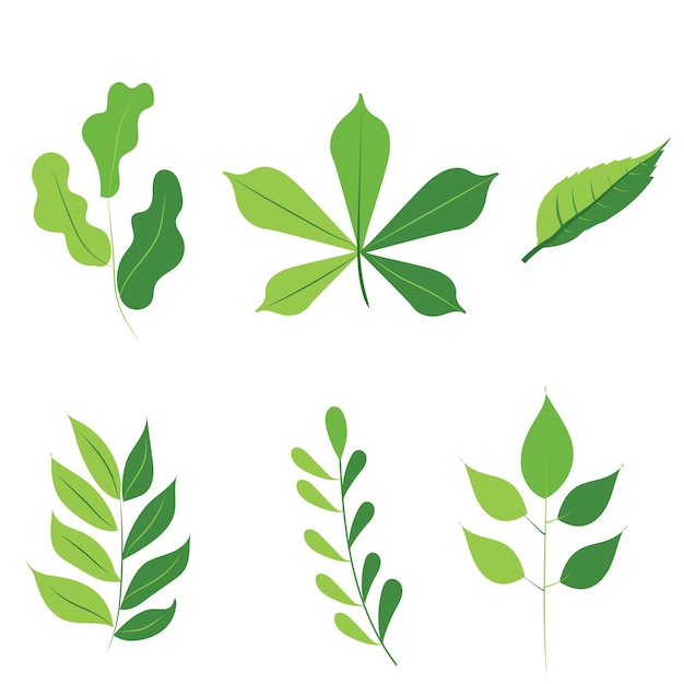 Collection of Green Palm Leaves Vector Icon Green Leaves Art Illustration Stock