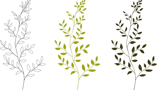 Collection of greenery. leaves of herbaceous plants. silhouettes of twigs of the plant. vector illustration on a white background.