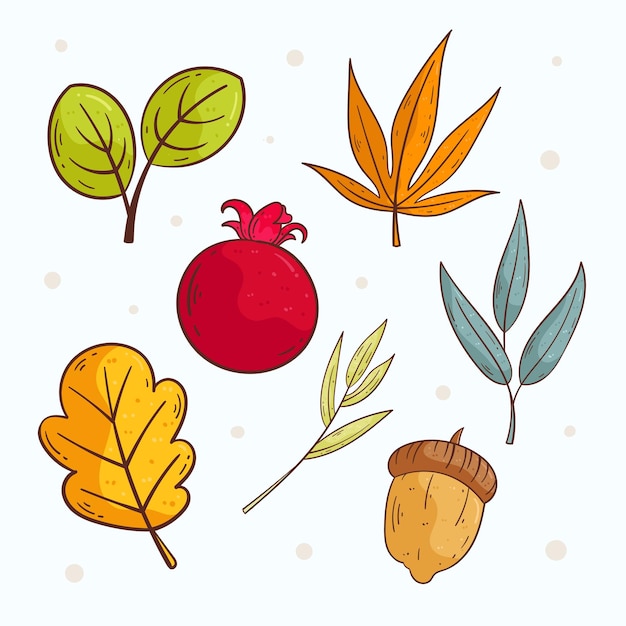 Collection Of Hand Drawn Autumn Leaves