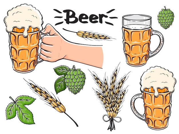 Vector collection of hand drawn beer accessories.