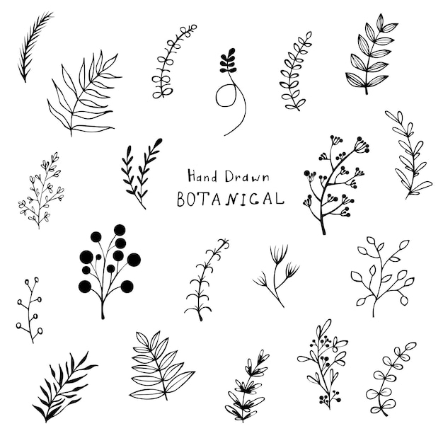 Collection of hand drawn botanical doodle set