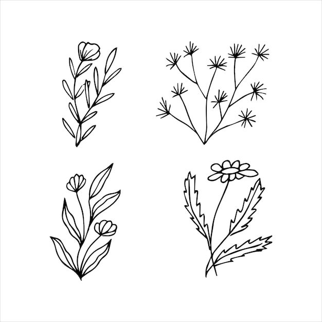 Collection of hand drawn botanical floral elements for floral design concept