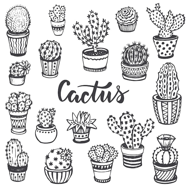 Collection of hand drawn cactus in sketch style. Beautiful black and white nature  set.