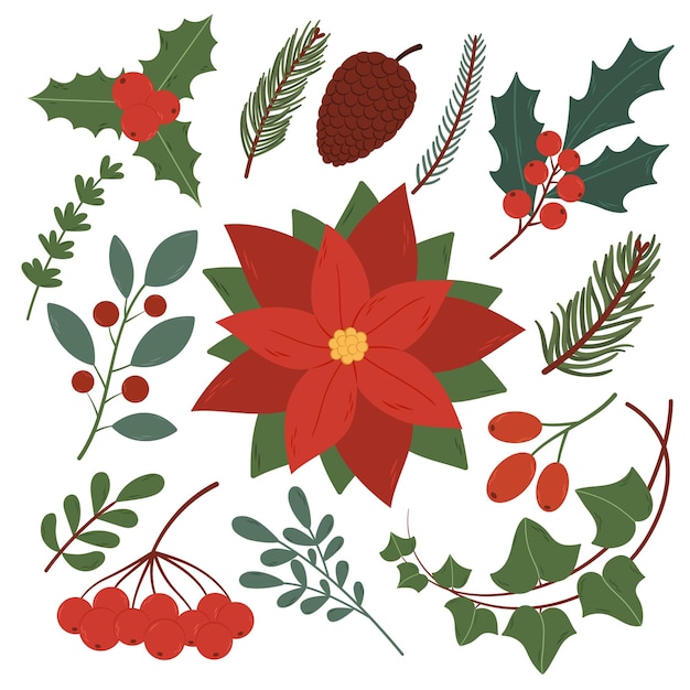 飾り用の手描きのクリスマスと新年の植物と花のコレクション