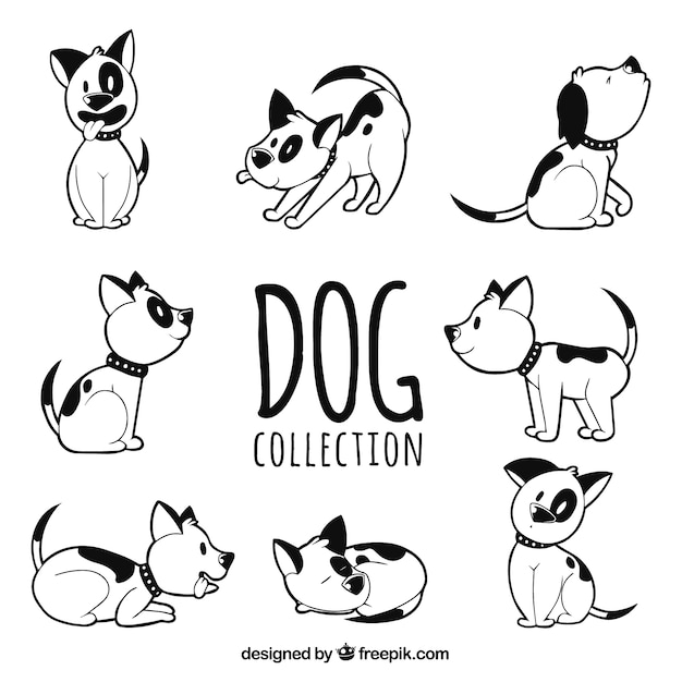 Raccolta di cane disegnato a mano in otto diverse posture