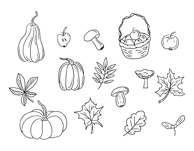 Collection of hand drawn doodle autumn nature gifts Black isolated outline elements Pumpkins autumn