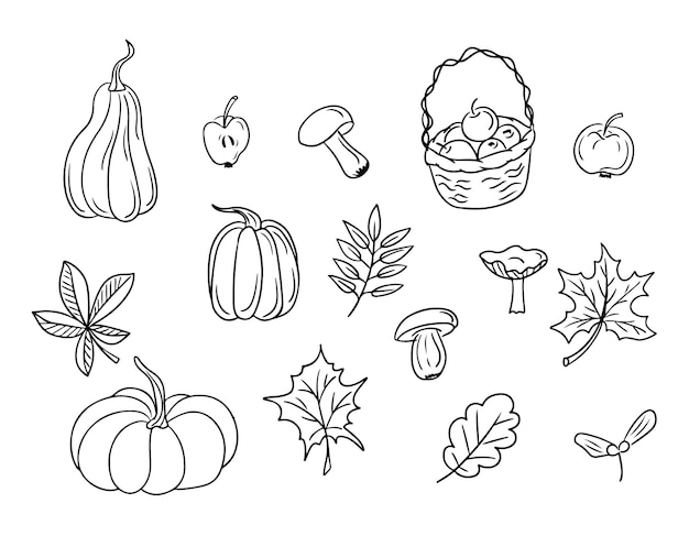 Collection of hand drawn doodle autumn nature gifts black isolated outline elements pumpkins autumn