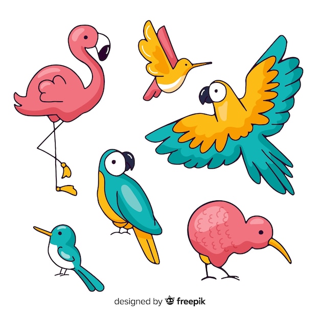 Collection of hand drawn exotic bird