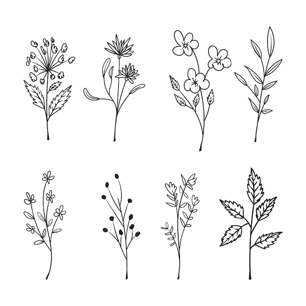 Collection of hand drawn floral doodles isolated