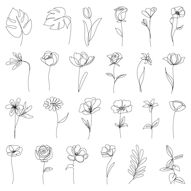 手描きの花の要素のコレクション