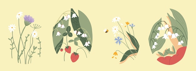 Vector collection hand drawn flowers summer illustration strawberry chamomile lily of the valley design for your brand vector clipart on isolated white background