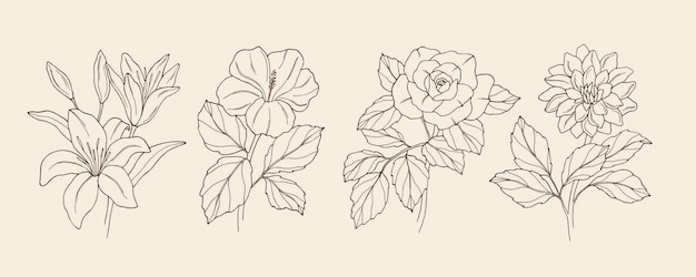 Collection of hand drawn flowers