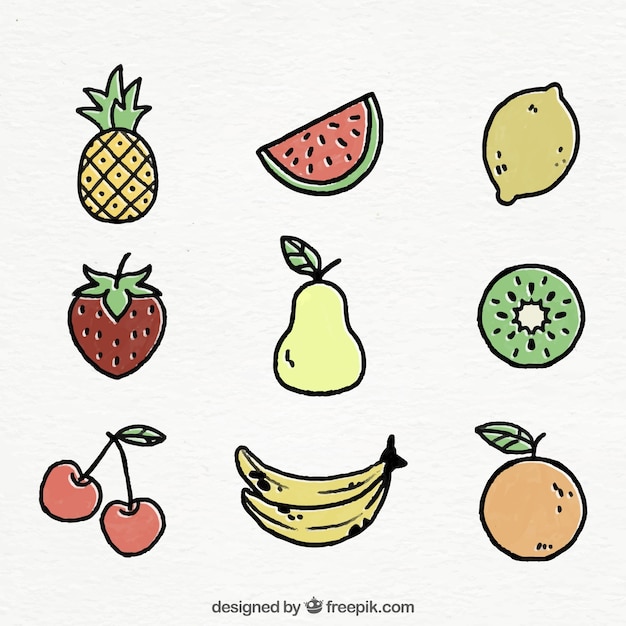 Vector collection of hand-drawn fruits