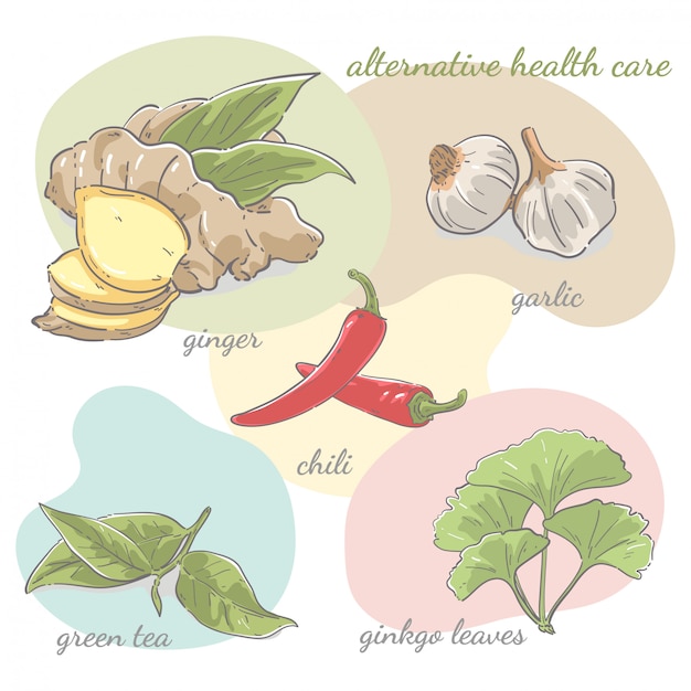 손으로 그린 건강 허브의 컬렉션