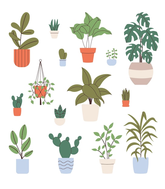 Collection hand drawn home plants elements