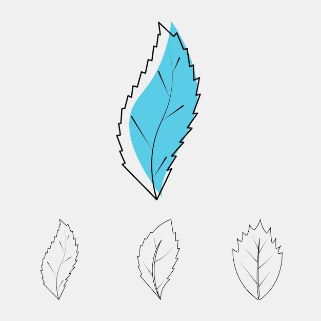 Vector collection of hand drawn leaf illustrations