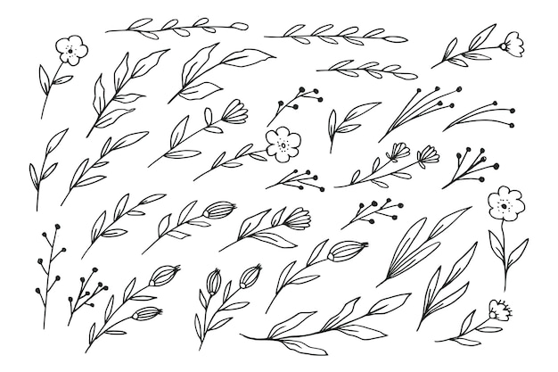 A collection of hand drawn leaves and flower decorative floral element