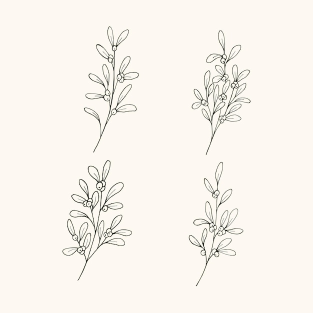 Collection of hand drawn mistletoe