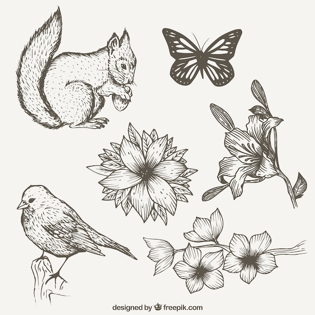 Collection of hand drawn nature with animals