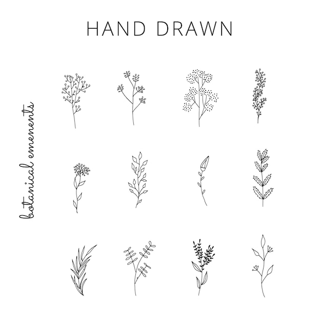 collection of hand drawn simple floral elements