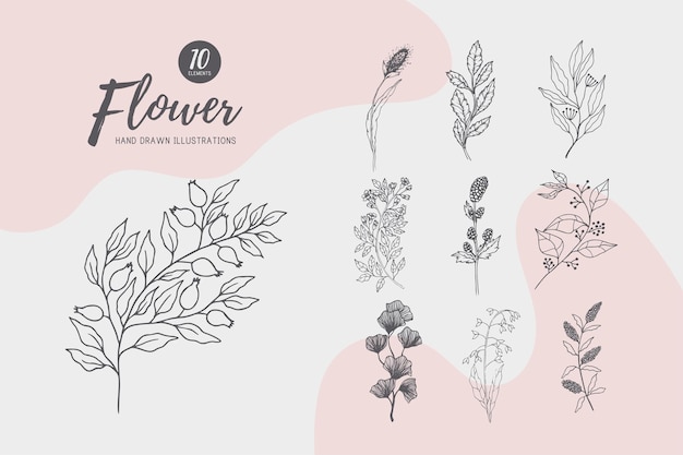 Collection of hand drawn spring flowers and plants monochrome vector illustrations in sketch style