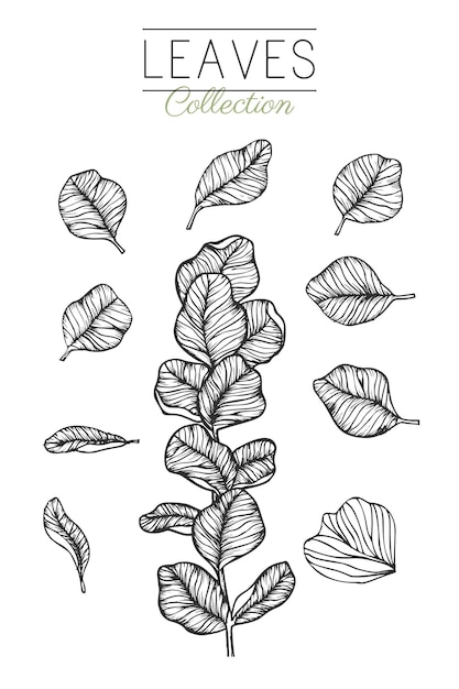 Collection of hand drawn spring flowers and plants Monochrome vector illustrations in sketch style