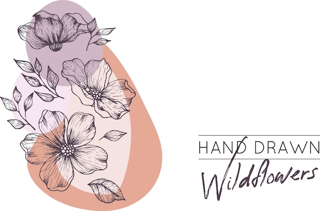 Vector collection of hand drawn spring flowers and plants monochrome vector illustrations in sketch style