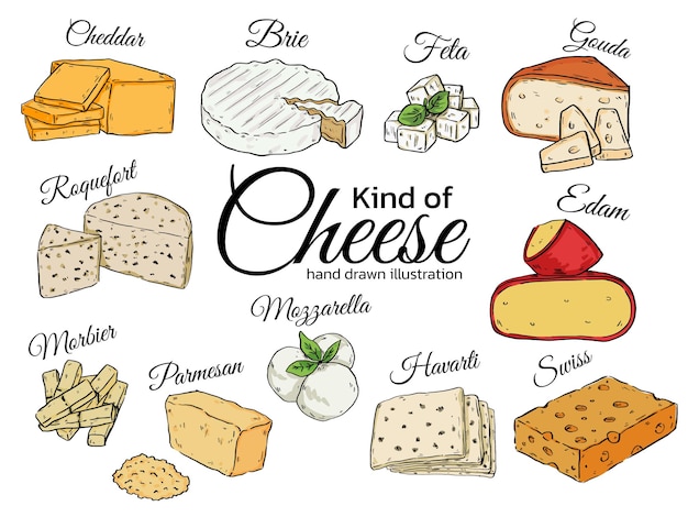 collection of hand drawn various type of cheese food illustration set5