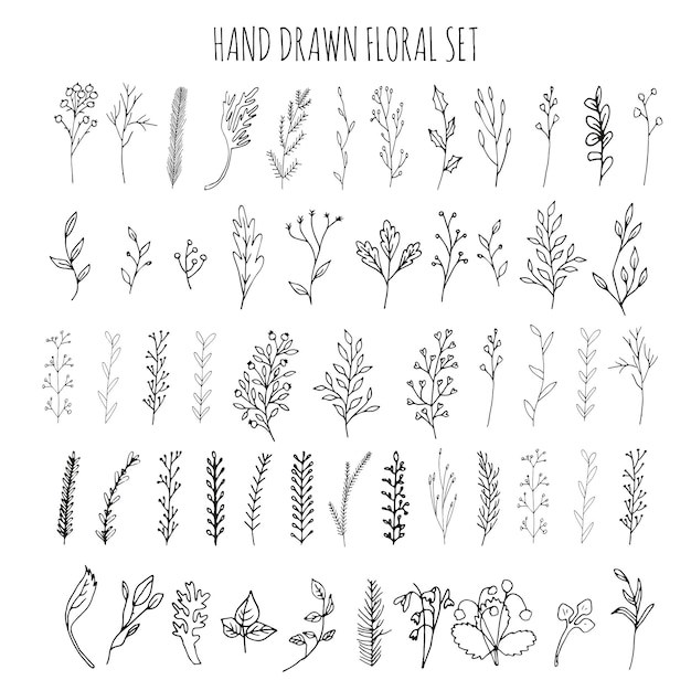 Collection of hand drawn vector florals and branches with leaves, flowers, berries. Modern sketch collection. Decorative elements for design. Ink, vintage vector.