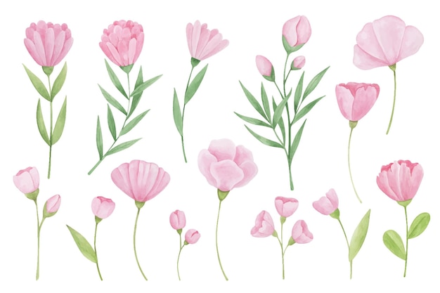 Collection of hand drawn watercolor pink flowers Soft flowers botanical illustration