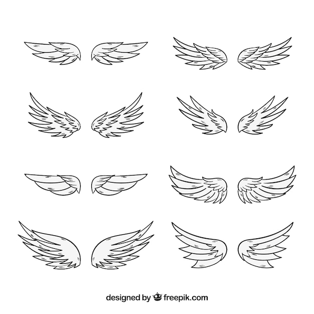 Vector collection of hand-drawn wings