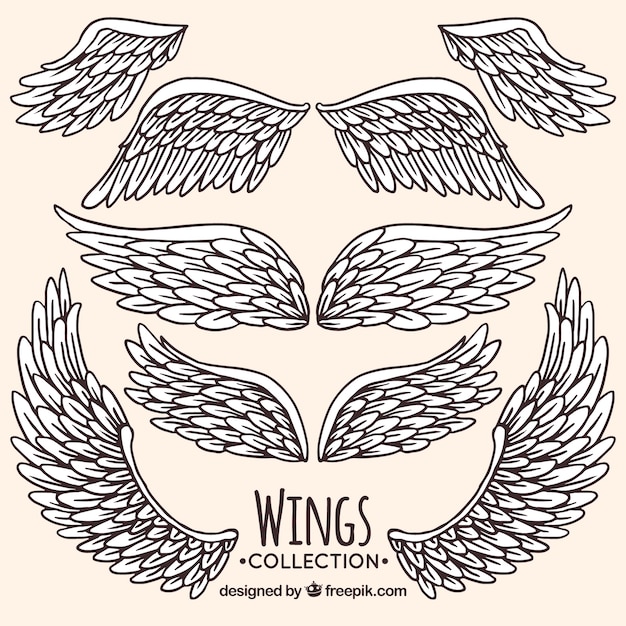 Vector collection of hand-drawn wings