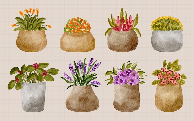 Collection of hand painted watercolor cute houseplants in flowerpots illustration