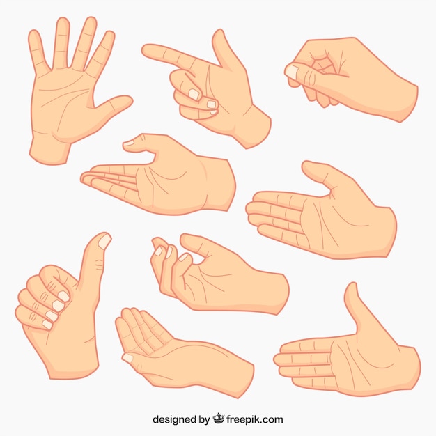 Vector collection of hand sketches