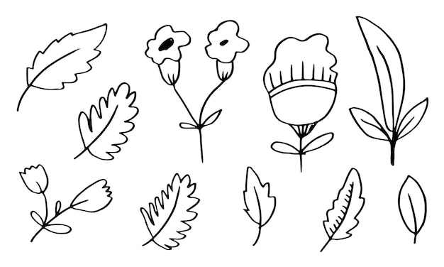 A collection of handdrawn flower images such as bellflower chrysanthemums sunflowers cotton flowers and tropical leaves