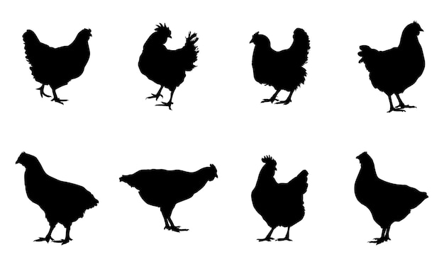 Collection of Hen silhouettes set on Premium Vector