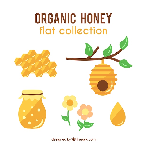 Vector collection of honey object