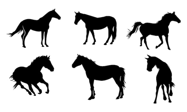 Коллекция силуэтов лошадей на белом фоне Premium векторы