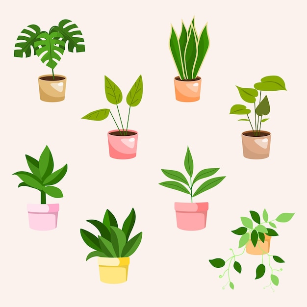 平らなイラストの観葉植物のコレクション