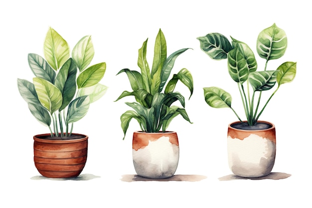 Vector collection of illustrations of potted plants