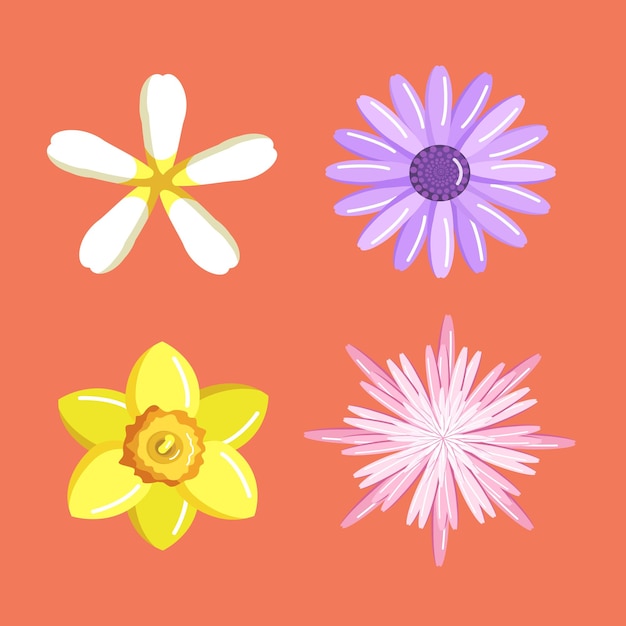 Raccolta di illustrazioni di vari fiori