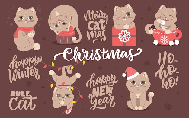 Vector the collection image of winter animals with lettering phrases the set of cats for christmas designs