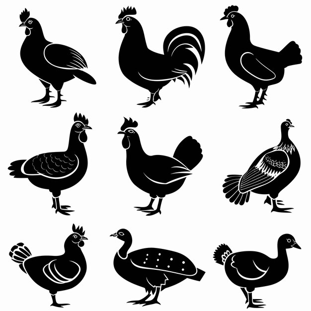 a collection of images of chickens and roosters