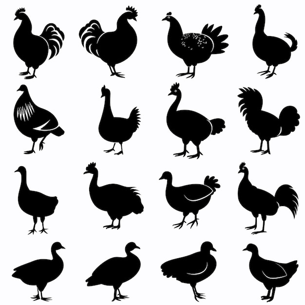 a collection of images of chickens and roosters