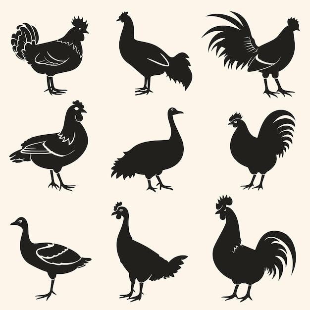 Vector a collection of images of chickens and roosters