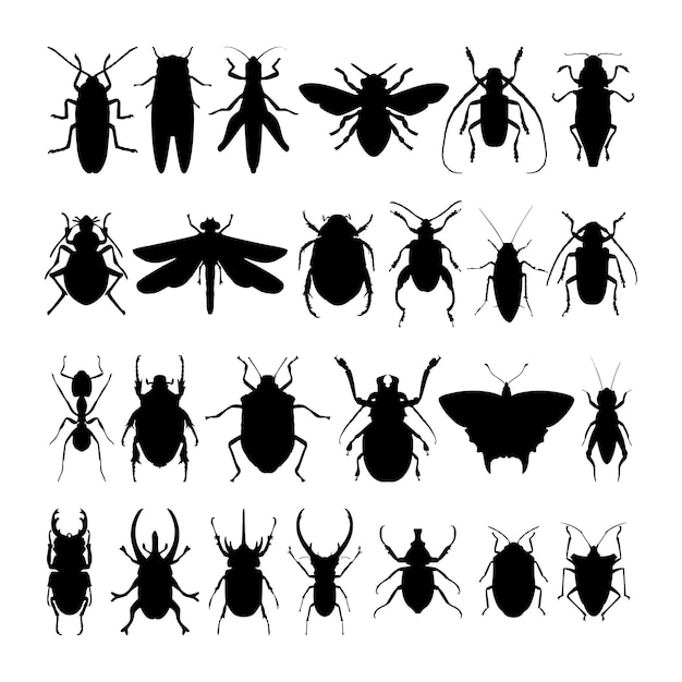 A collection of insects on a white background