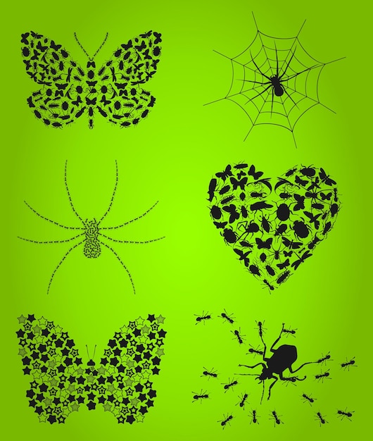 Vector collection of insects3