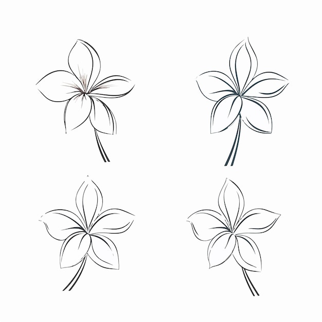 Vettore collection of intricate plumeria illustrations inspired by nature