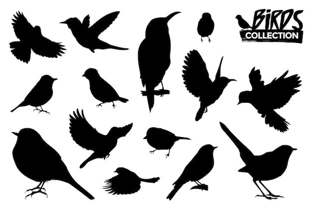 Collection of isolated bird silhouettes. Graphic resources. 