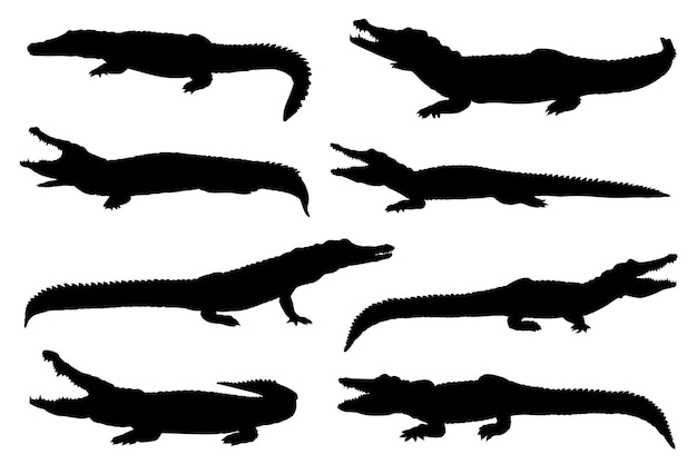 Collection of isolated crocodile silhouettes in different poses.